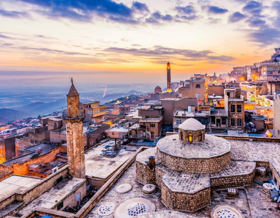 Mardin DJI Drone Servisi