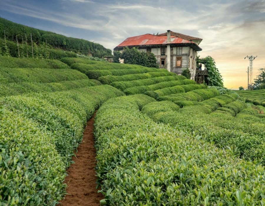 Rize DJI Drone Servisi