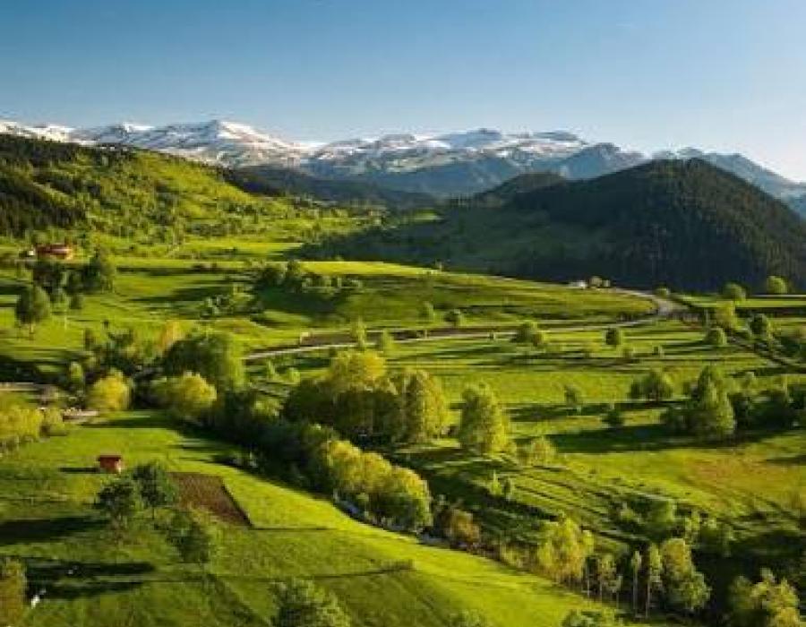 Artvin DJI Drone Servisi
